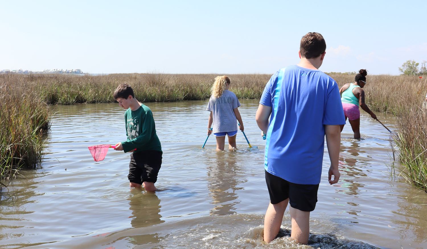 AC-recycling image Adolescent students wading into a marsh with nets during a field study