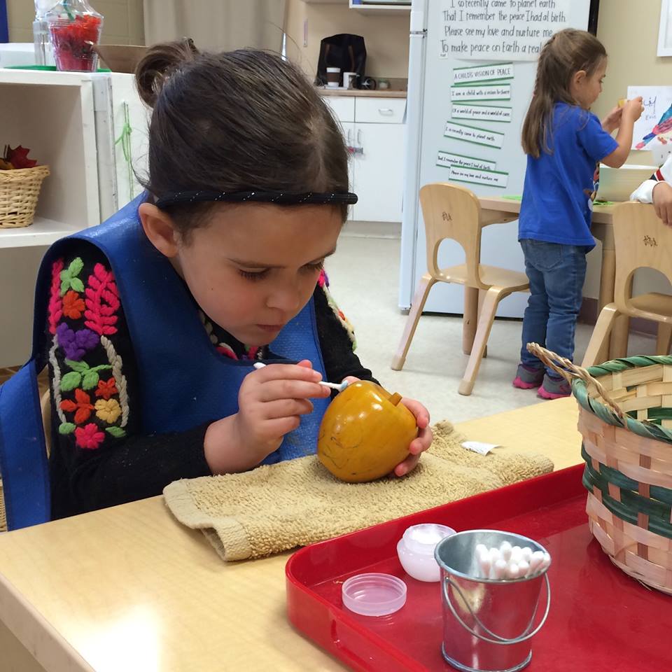 What is Practical Life and why is my child spooning, pouring and washing windows at school?