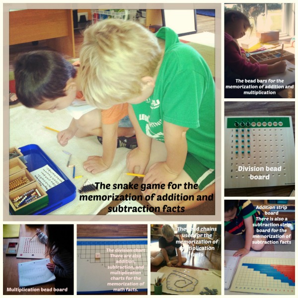 The Memorization of Math Facts in a Montessori Elementary Classroom